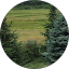 CJM Vendor Avatar